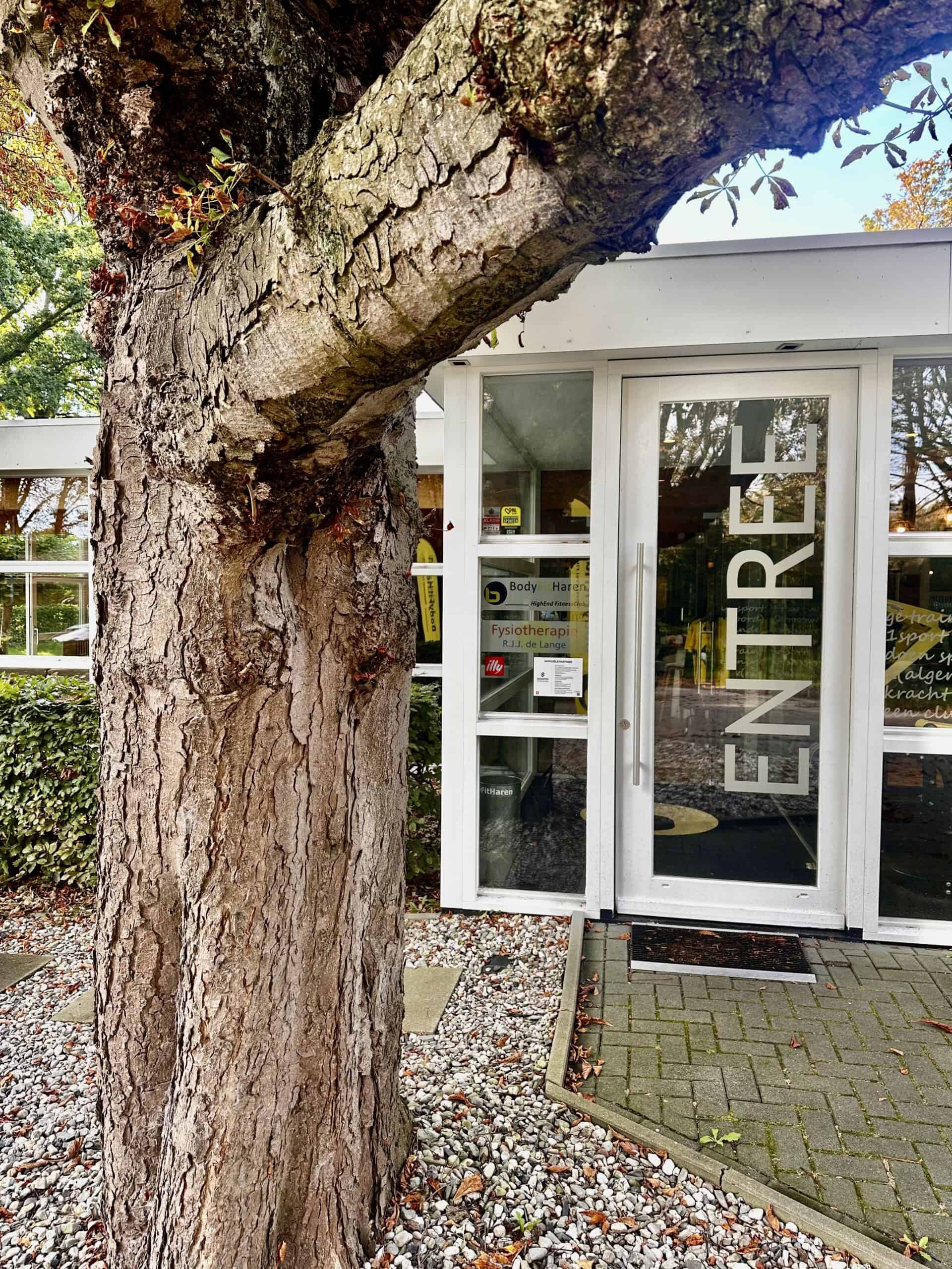 Entree van BodyFitHaren in Haren met boom in herfstkleur.